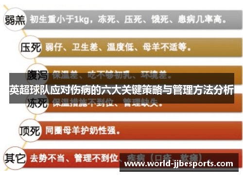 英超球队应对伤病的六大关键策略与管理方法分析 英超球队应对伤病的六大关键策略与管理方法分析